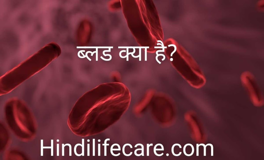 what-is-blood-in-hindi
